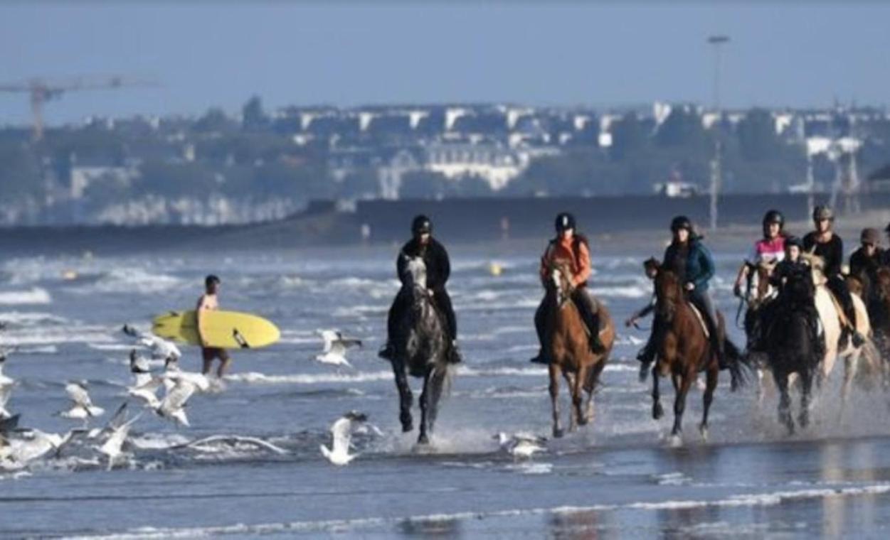 شقة Les Echappees Belles De L'Ocean Le Pointeau المظهر الخارجي الصورة